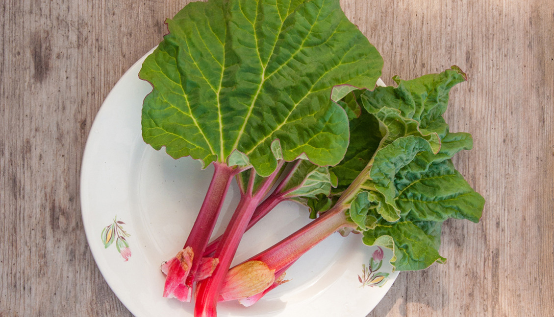 Riesling + rabarber = sant!