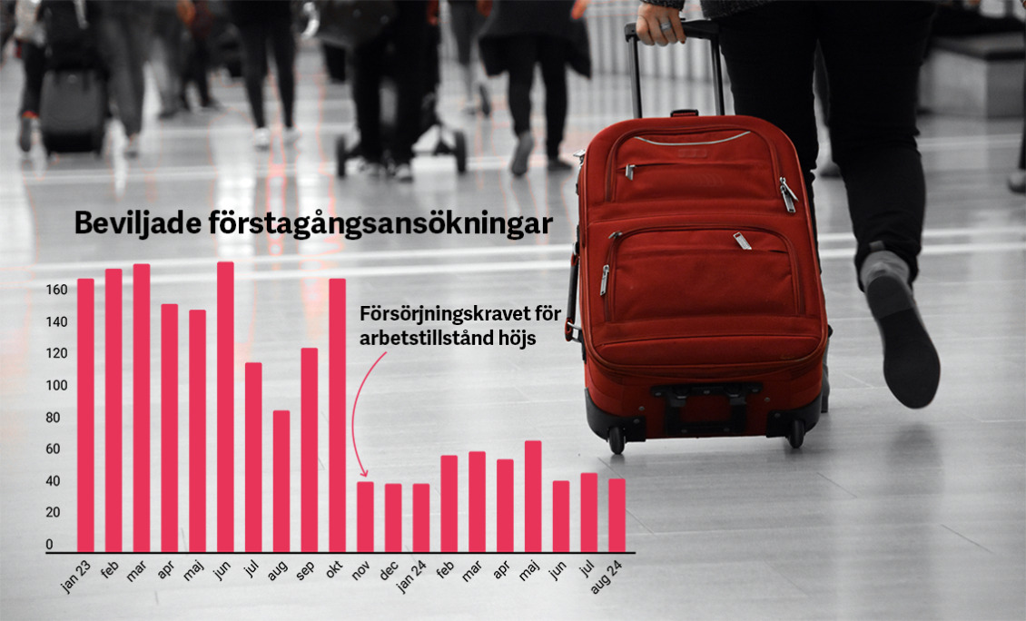 Färre arbetstillstånd – men arbetsgivare fortsätter fuska
