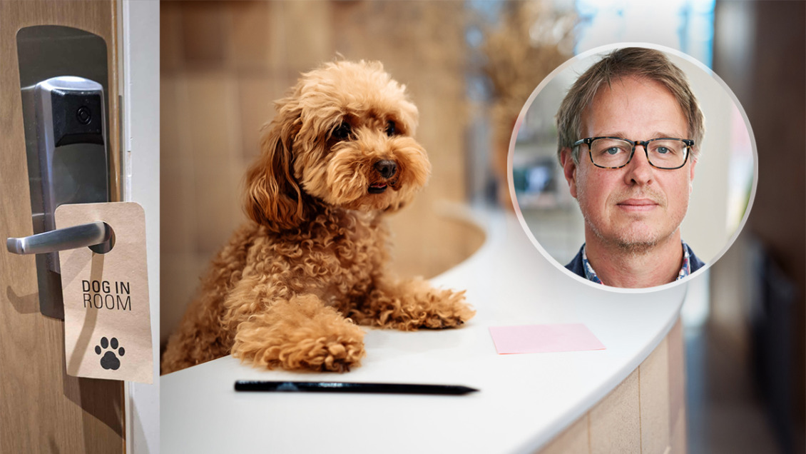 Så blir det när hunden checkar in