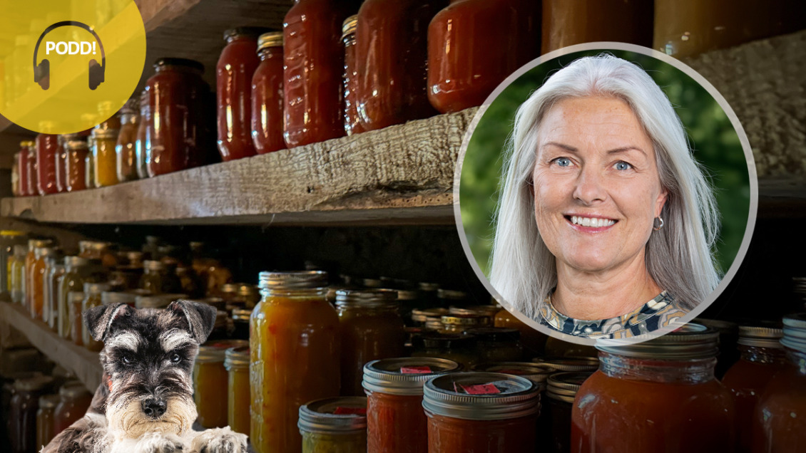 Besökstrender i osäkra tider