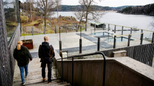 Vanns verkliga klippor