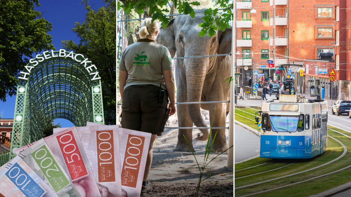 Fonderna som bara är till för branschfolk