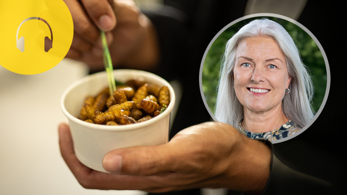Detta påverkar menyn 2027