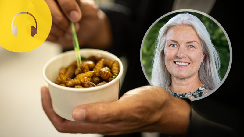 Detta påverkar menyn 2027