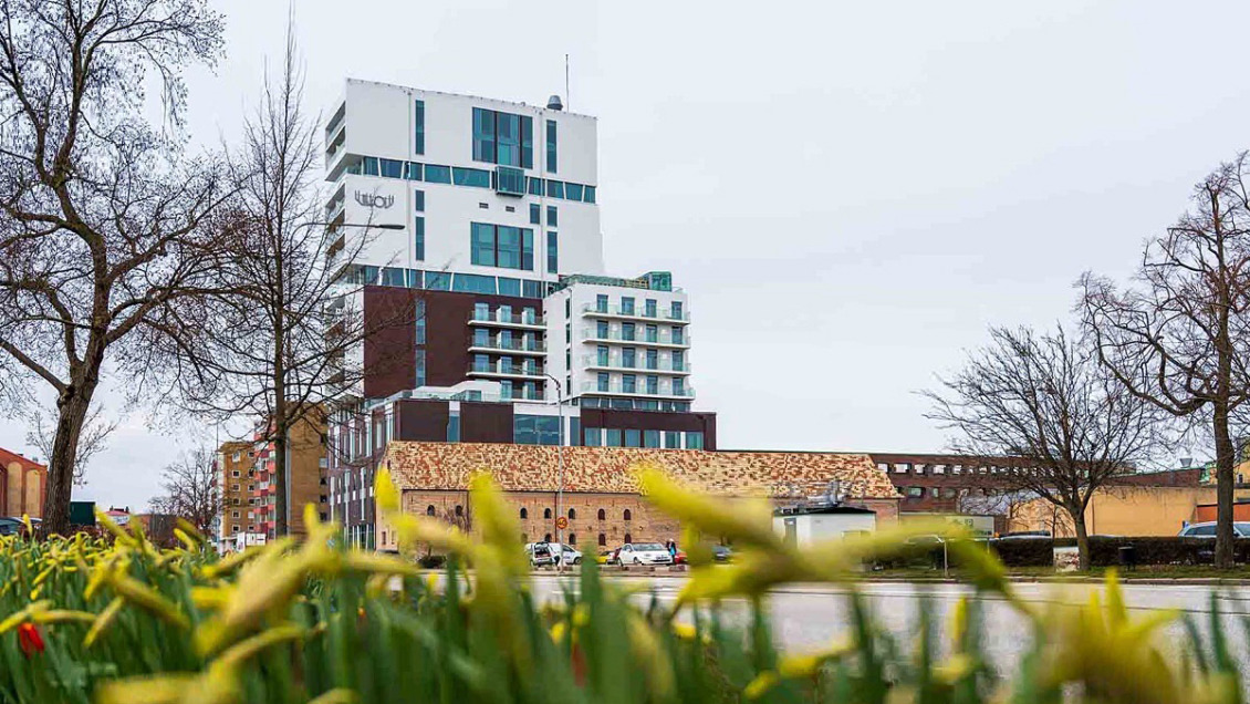Reagerade på arbetsvillkor – miste provanställning
